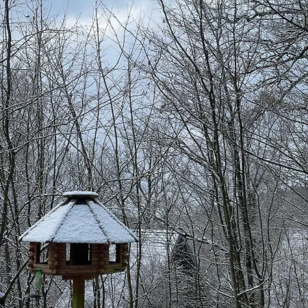 Ardennenvakantiebungalow Сasa de vacaciones Durbuy