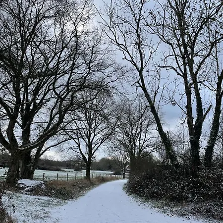 Ardennenvakantiebungalow Tatil Evi Durbuy