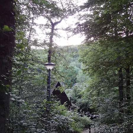 Ardennenvakantiebungalow