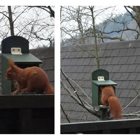 Dom wakacyjny Ardennenvakantiebungalow