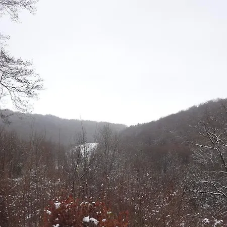 Сasa de vacaciones Ardennenvakantiebungalow *